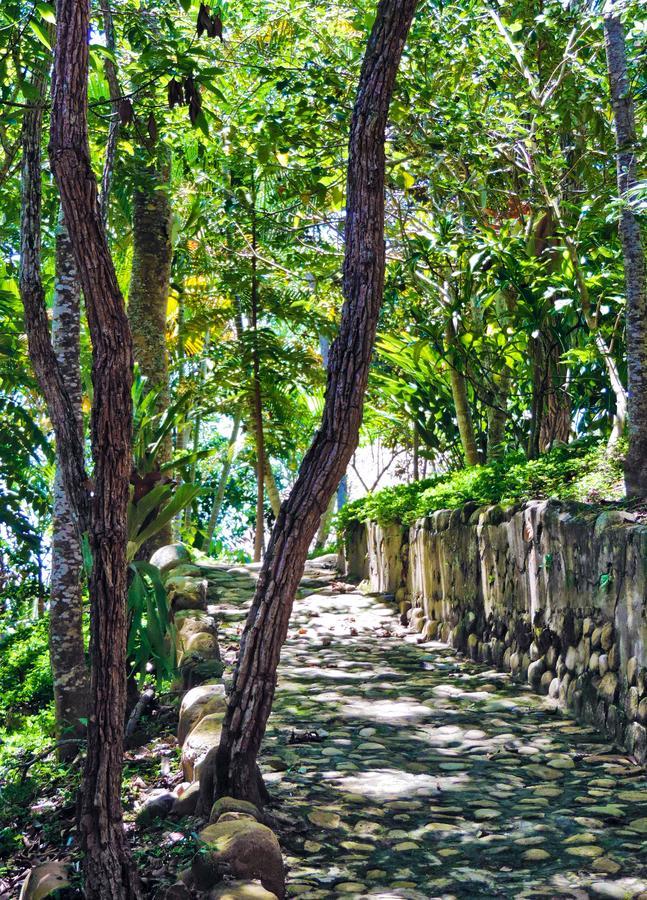 Yacumaman Sanctuary Villa Tarapoto Exterior photo